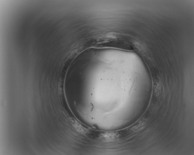 X0000059800466200511041632