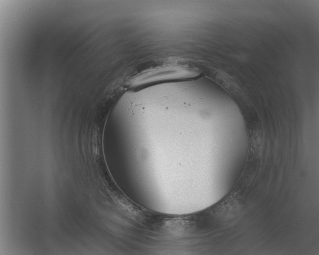 X0000059800470200511041632