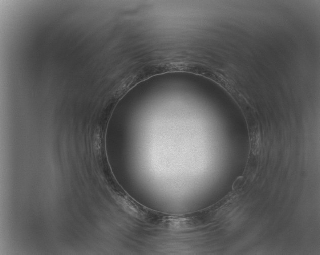 X0000059800472200511041632