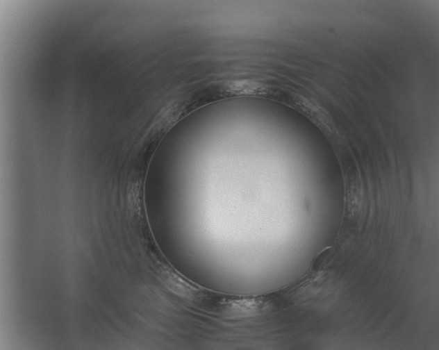 X0000059800473200511041632