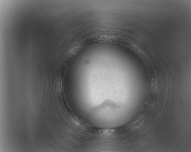 X0000059800474200511041632