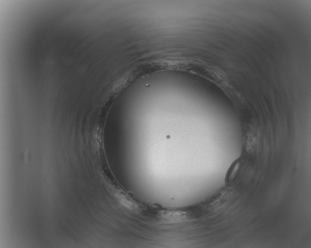 X0000059800476200511041632