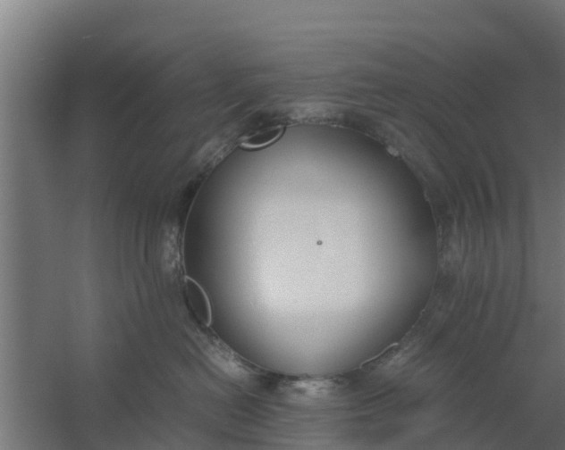 X0000059800478200511041632