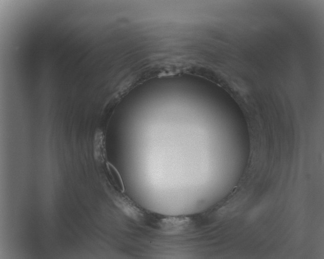 X0000059800480200511041632