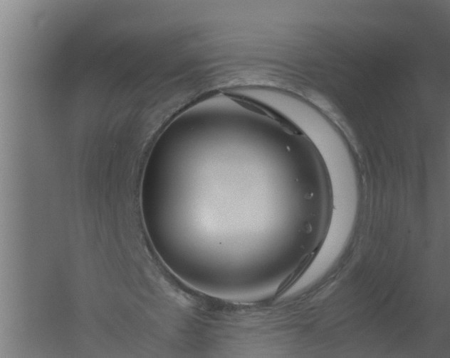 X0000059800481200511041631