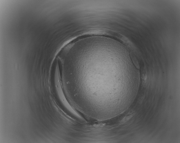 X0000059800484200511041631