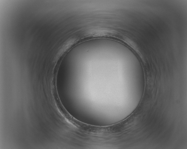 X0000059800485200511041631