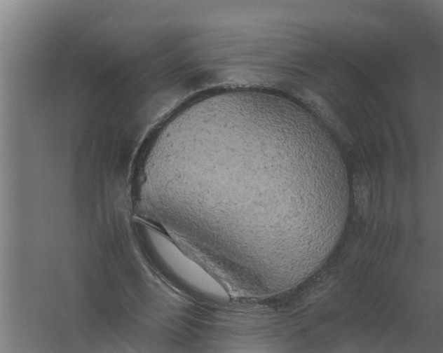 X0000059800488200511041631