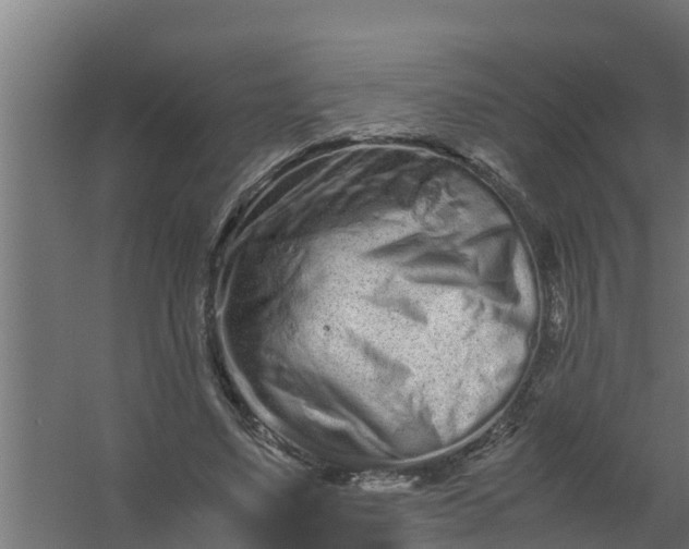 X0000059800491200511041631