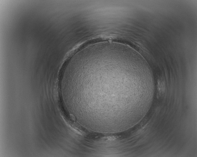 X0000059800492200511041631