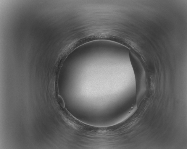 X0000059800493200511041631