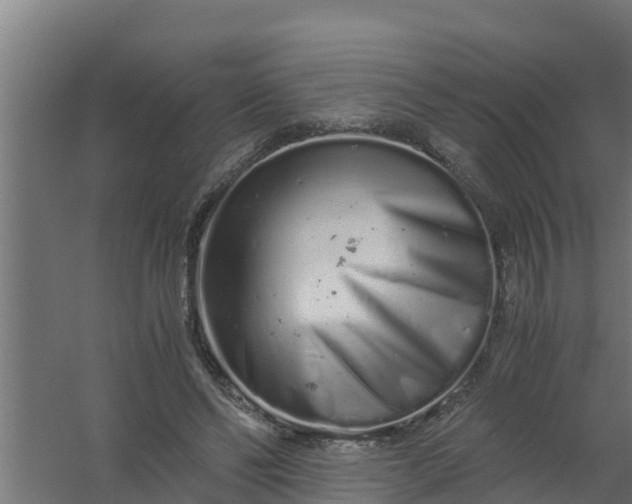 X0000059800494200511041631