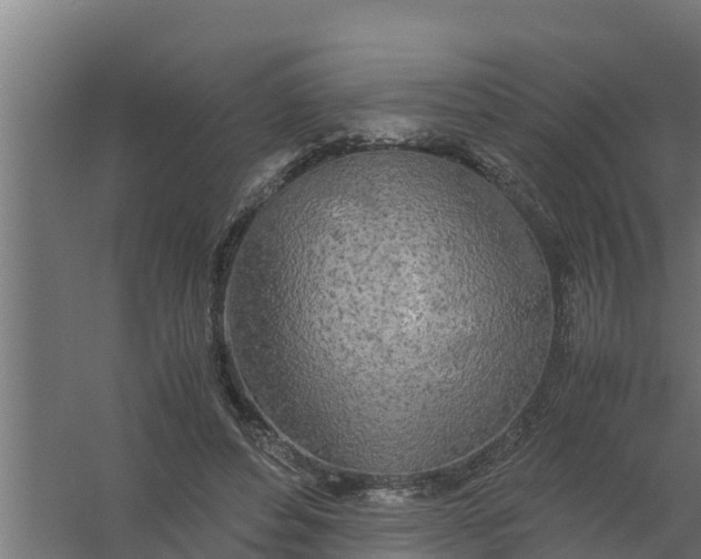 X0000059800496200511041631