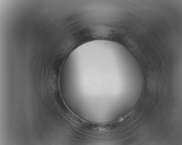 X0000059800498200511041631