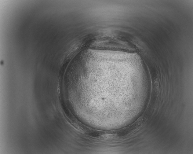 X0000059800499200511041631