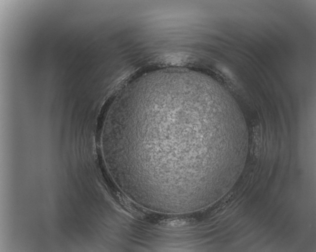 X0000059800500200511041631