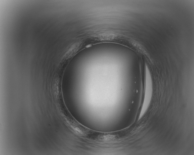 X0000059800501200511041631