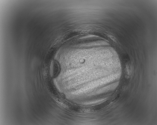 X0000059800503200511041631