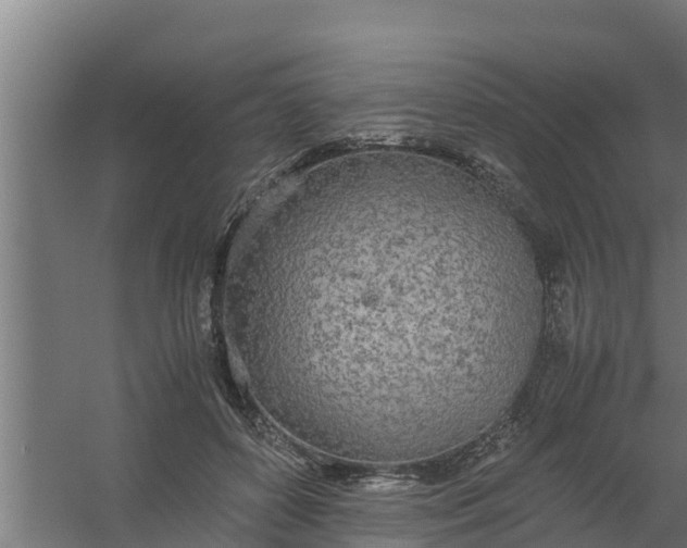 X0000059800504200511041631