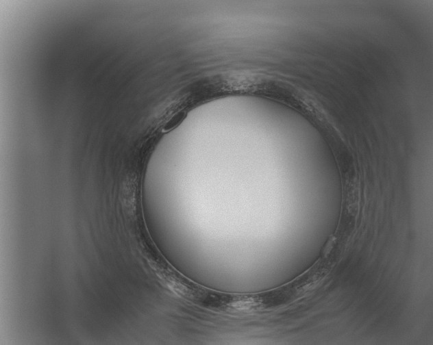 X0000059800505200511041631