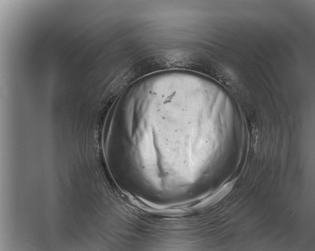 X0000059800506200511041631