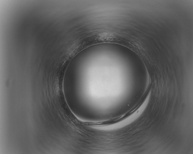 X0000059800508200511041631