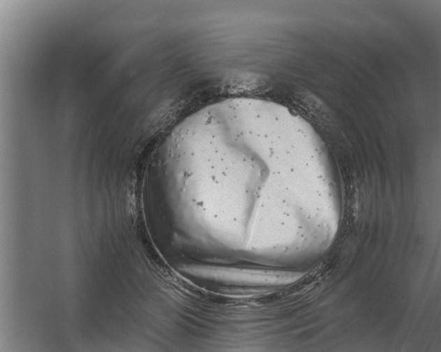 X0000059800510200511041630