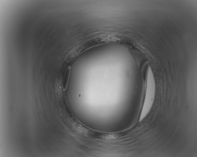 X0000059800513200511041630