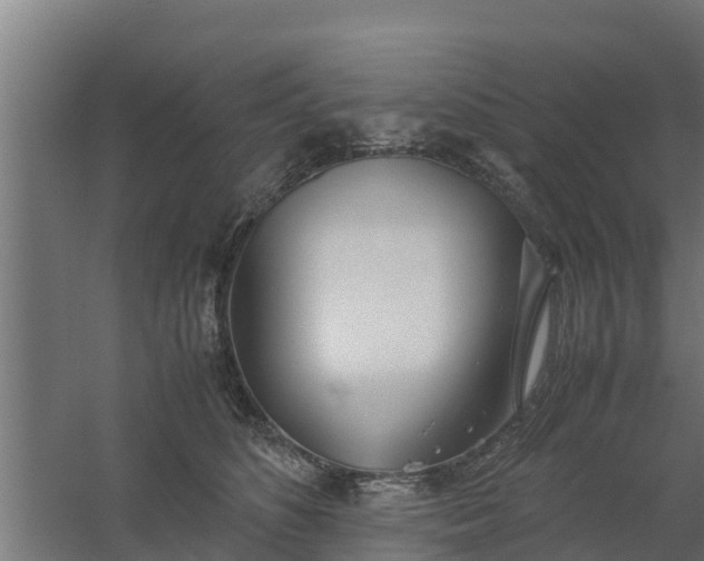 X0000059800516200511041630