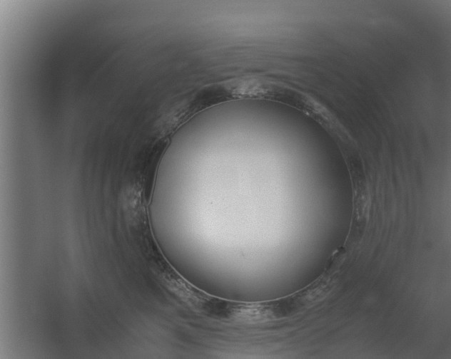 X0000059800521200511041630