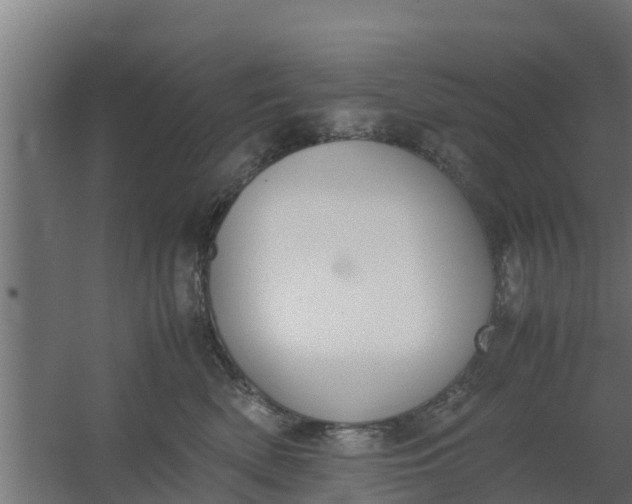 X0000059800522200511041630