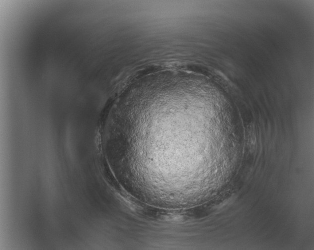 X0000059800523200511041630