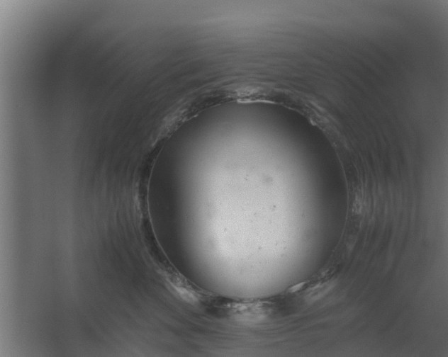 X0000059800524200511041630