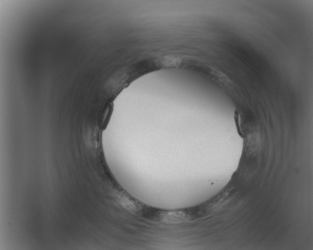 X0000059800525200511041630