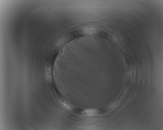 X0000059800526200511041630