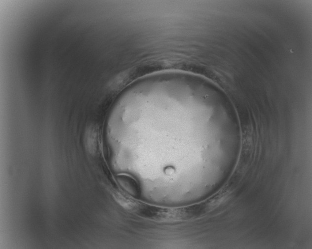 X0000059800527200511041630