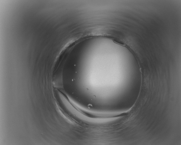 X0000059800530200511041629