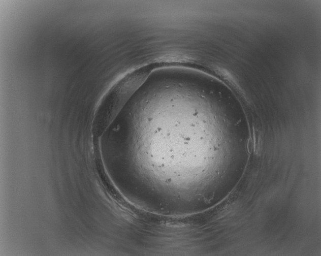 X0000059800531200511041629