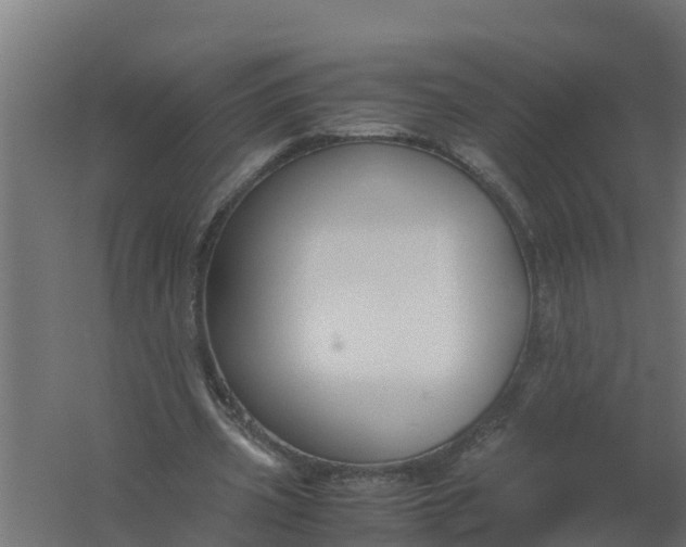 X0000059800533200511041629