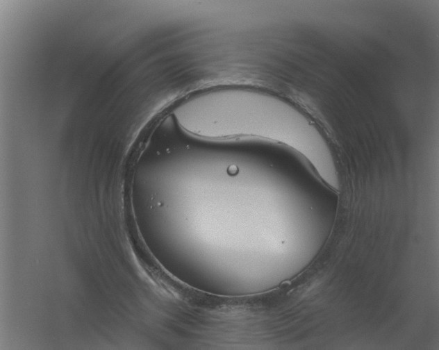 X0000059800534200511041629