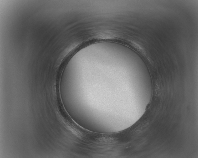 X0000059800535200511041629