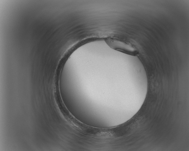 X0000059800536200511041629