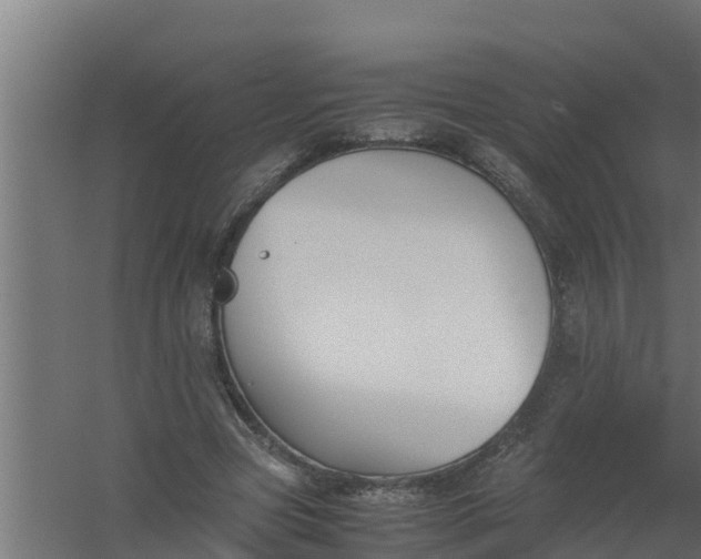 X0000059800537200511041630