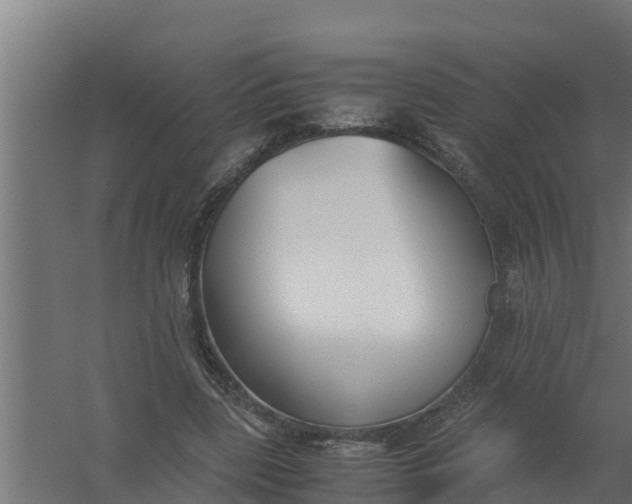 X0000059800539200511041630