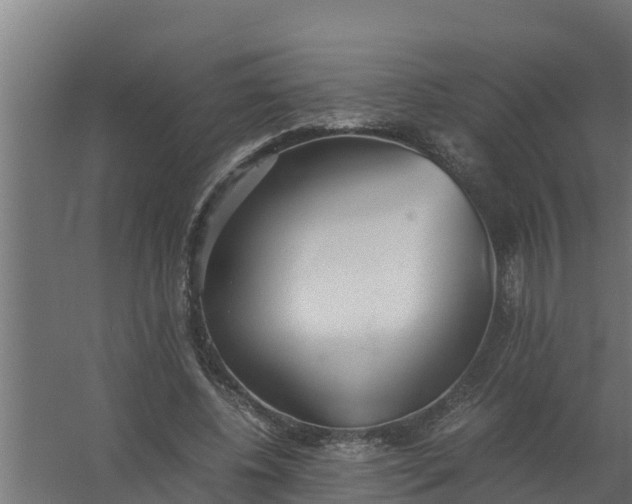 X0000059800540200511041630