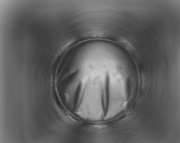 X0000059800542200511041630