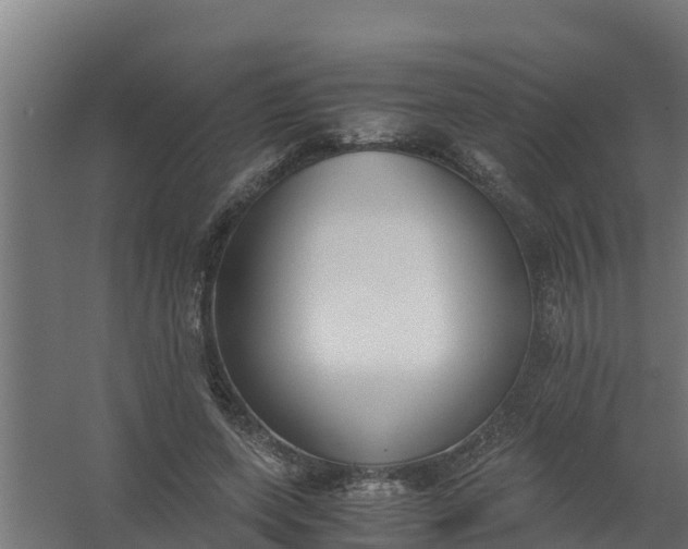 X0000059800543200511041630