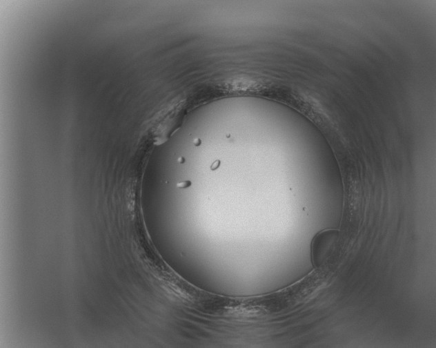 X0000059800545200511041630