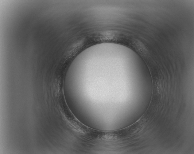 X0000059800546200511041630