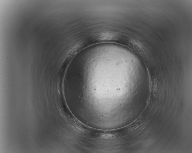 X0000059800547200511041630